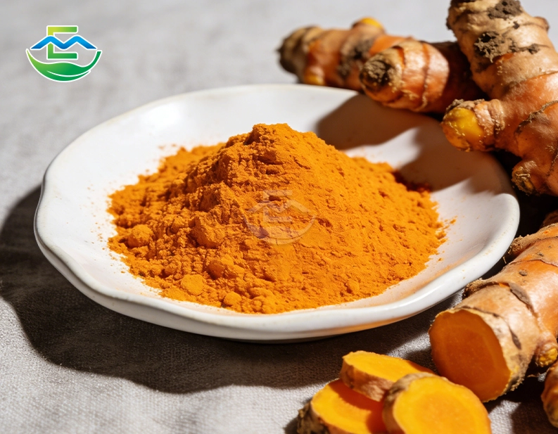 Curcuma Longa Root Powder